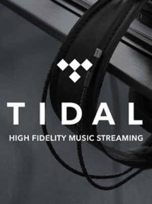 Tidal Premium Manual Top-Up Individual 1 Month - Tidal Manual Top-Up - GLOBAL
