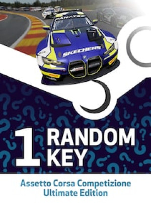 Try to Get Assetto Corsa Competizione | Ultimate Edition 1 Key (PC) - Steam Key - GLOBAL