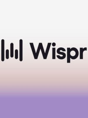 Wispr Flow Pro 12 Months - Wispr Flow Key - GLOBAL