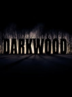 Darkwood | Deluxe Edition (PC) - Steam Key - GLOBAL