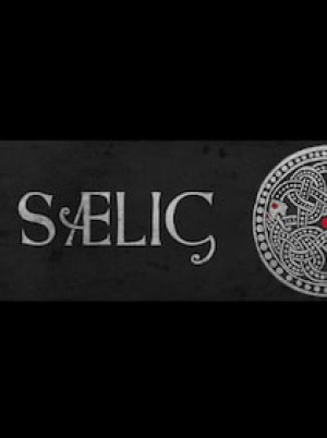SAELIG Steam Gift GLOBAL