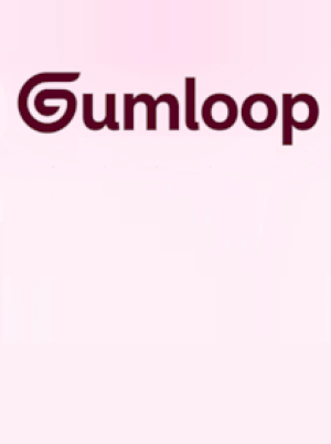Gumloop Pro 12 Months - Gumloop Key - GLOBAL