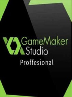 GameMaker: Studio Professional Key GLOBAL