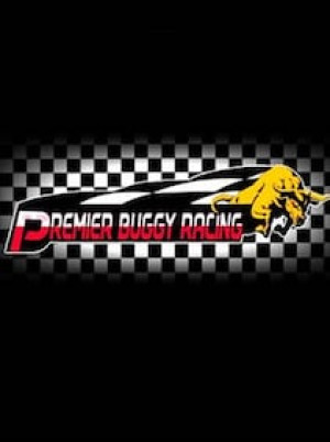 Premier Buggy Racing Tour Steam Key GLOBAL