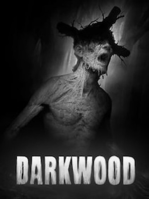 Darkwood (PC) - Epic Games Account - GLOBAL