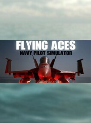 Flying Aces - Navy Pilot Simulator Steam Key GLOBAL