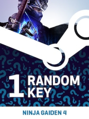 Try to Get NINJA GAIDEN 4 - Random 1 Key (PC) - Steam Key - GLOBAL