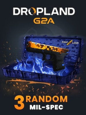 Counter Strike 2 RANDOM 3 CASE MIL-SPEC SKIN - BY DROPLAND.NET Key - GLOBAL