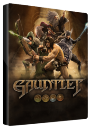 Gauntlet Slayer Edition | 4 Pack (PC) - Steam Key - GLOBAL