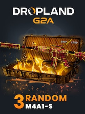 Counter Strike 2 RANDOM 3 CASE M4A1-S SKIN - BY DROPLAND.NET Key - GLOBAL