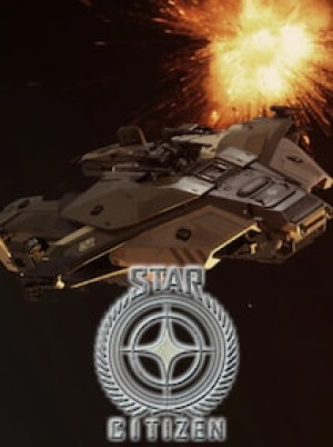 Star Citizen Ships - Paladin - Standalone Ship (PC) - MMOPIXEL Player Trade - GLOBAL