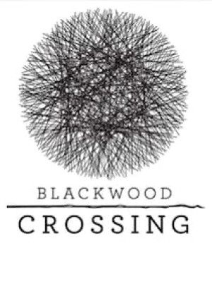 Blackwood Crossing (PC) - Steam Gift - GLOBAL