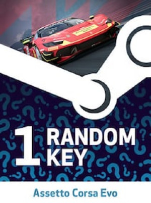 Try to Get Assetto Corsa Evo - Random 1 Key (PC) - Steam Key - GLOBAL