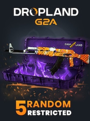 Counter Strike 2 RANDOM 5 CASE RESTRICTED SKIN - BY DROPLAND.NET Key - GLOBAL