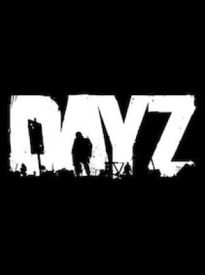 DayZ (PC) - Steam Account - GLOBAL