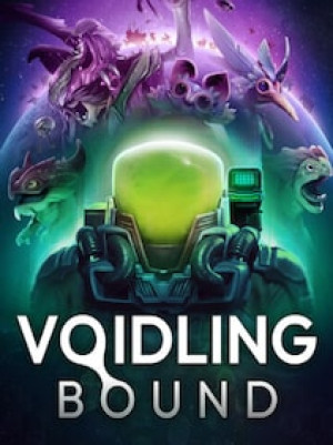 Voidling Bound (PC) - Steam Gift - GLOBAL