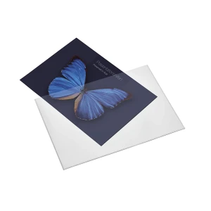 magnetoplan Sichttasche, DIN-A4-Format, VE 10 Stk, weiß