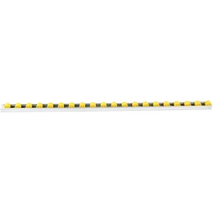 Rollenleiste mit Zylinderrollen, Teilung 50 mm, Ø 28 mm, Kunststoff, Länge 1 m, ab 4 Stk kaiserkraft