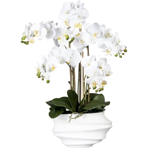 Phalaenopsis, real touch, Höhe 750 mm, weiß, Kunststoffvase weiß kaiserkraft