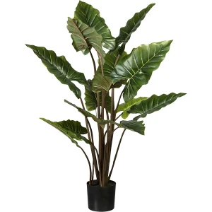 kaiserkraft Planta de taro, 14 folhas, vaso com terra, altura 1400 mm, Planta de taro, 14 folhas, vaso com terra, altura 1400 mm. Ideal para decorar