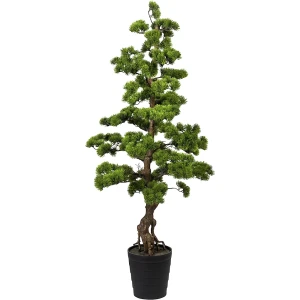 kaiserkraft Pinheiro bonsai, em vaso de plástico, 210 x 230 mm, altura 1400 mm, Pinheiro bonsai, em vaso de plástico, 210 x 230 mm, altura 1400 mm.