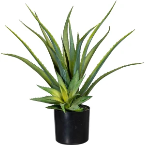 kaiserkraft Aloé, em vaso de plástico com terra, altura aprox. 480 mm, Aloé, em vaso de plástico com terra, altura aprox. 480 mm. Ideal para decorar