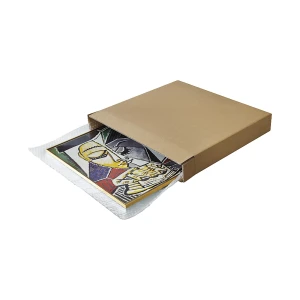 ratioform Bilderkarton, 2-wellig, Innenmaße 1040 x 80 x 740 mm, ab 20 Stk