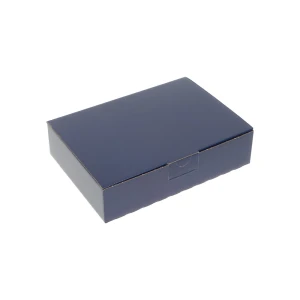 ratioform flow Blitzbox, blau, VE 20 Stk, Innenmaße 220 x 155 x 50 mm, ab 10 VE