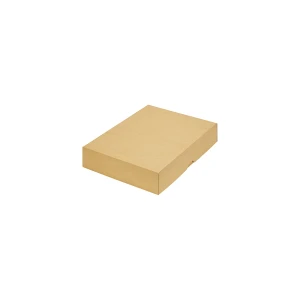 ratioform terra Stülpdeckelkarton, zweiteilig, Innenmaße 302 x 213 x 55 mm, A4, braun, ab 150 Stk