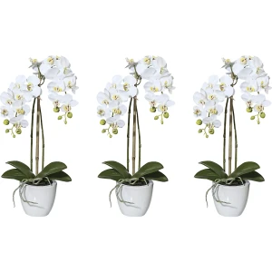 kaiserkraft Mini-orquídea Phalaenopsis artificial, vaso cerâmico, embalagem de 3 unid., altura 430 mm, Mini-orquídea Phalaenopsis artificial, vaso