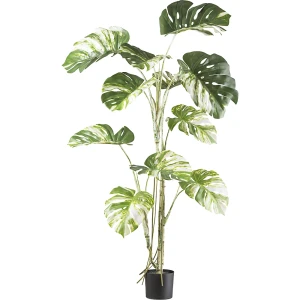 Künstliche Pflanze Monstera deliciosa, Kunststofftopf, Blattfarbe grün, Höhe 1600 mm kaiserkraft