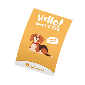 Pixartprinting Tracts Et Prospectus A5 Recto / Verso