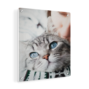 Pixartprinting Impression Photo Sur Forex