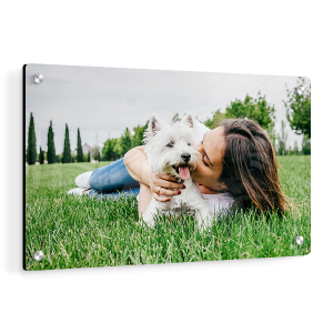 Pixartprinting Impression Photo Sur Alu Dibond