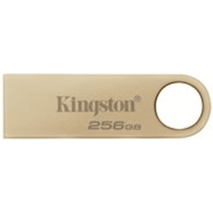 Kingston DataTraveler SE9 G3 - USB flash-enhet - 256 GB - USB