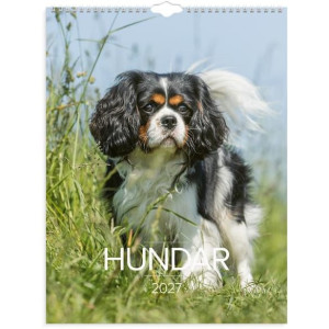 VÃ¤ggkalender Stora Hundkalendern 2027