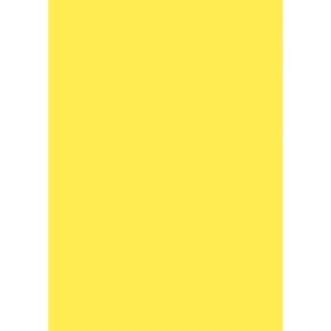 FÃ¤rgat Papper A4 170g solgul 10/fp
