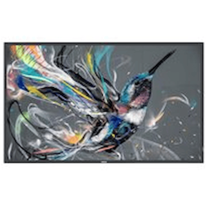Philips 75BDL3511Q - 75" Diagonal klass (74.5" visbar) - Q-Line