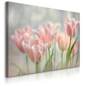 Obraz Na Płótnie Delikatne Różowe Kwiaty Tulipany 90x60 Dekoracja do Salonu