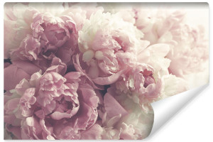 Fototapeta Kwitnące KWIATY Peonie Dekor 3D Dekoracja Nowoczesna do Salonu