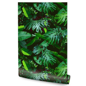 Tapeta Ścienna Zielone LIŚCIE Tropikalne Monstera 53x1000
