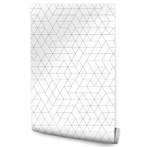 Tapeta Ścienna Do Przedpokoju Wzór GEOMETRYCZNY 53x1000