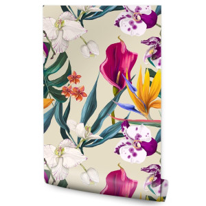 Tapeta Ścienna Tropikalne LIŚCIE Monstery Orchidea