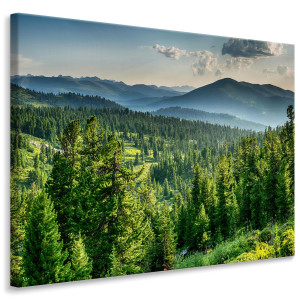 Obraz Dekoracja na Płótnie Do Jadalni KRAJOBRAZ Las Natura Mgła Góry Efekt 3D Canvas