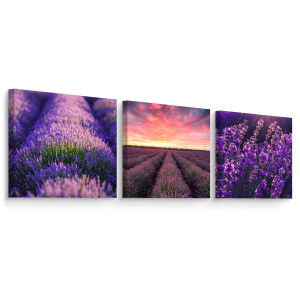 Obrazy Do Kuchni SET Pole LAWENDY Kwiaty Natura Pejzaż Rośliny 150x50cm