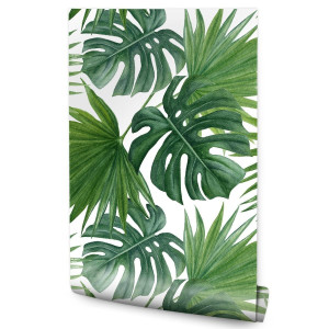 Tapeta Do Jadalni MONSTERA Palma Liście Tropikalne 53x1000