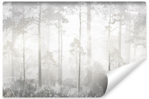 Fototapeta Do Sypialni Mglisty Las Pejzaż Natura Drzewa Abstrakcja