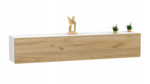 Szafka loftowa RTV 120 biały mat + dąb craft
