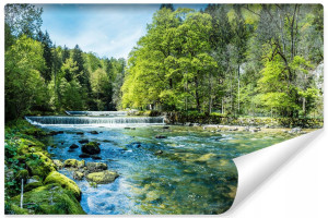 Fototapeta do salonu rzeka las natura 3D Dekoracja Nowoczesna Przyrodnicza