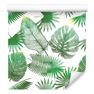 Tapeta, Zielone, Egzotyczne Liście, Bananowiec, Monstera
